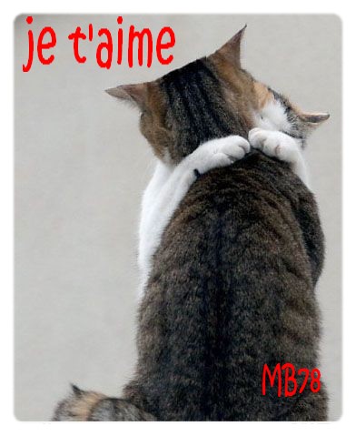 l� c'est ma soeur tigresse et et l�on (faut que je les surveille tous les deux)