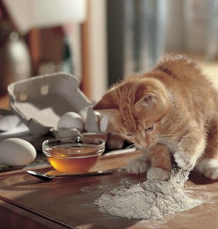 oc�ane qui nous fait un gateau