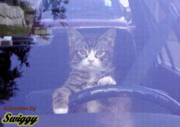 heuuu il imite bien ma marie au volant lolllllll  vi vi je l'ai vu faire �a