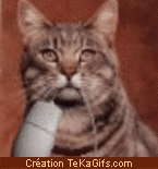 regarde la tatie belphy j'ai piqu� la souris � ma maman