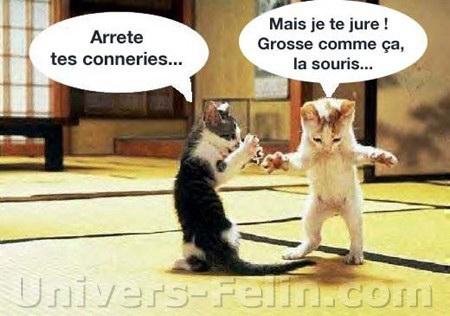 ben voui on voit qu'oc�ane est venue � marseille elle a la folie des grandeurs lollllllllllllllllllllllllll 