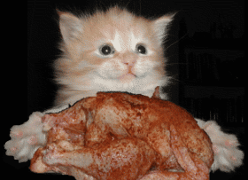 heuuuuuuuu un ptit cadeau pour mon oc�ane d'amour