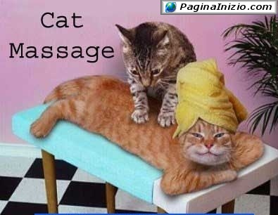 (chiffon) ha j'avais oubli� cette photo t'as vu ma tatie  belphy j'en ai pris soin de ma oc�ane d'amour