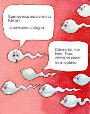 sp�cial belphy , voila pkoi tia po de bebe faut pas les avaler ses ptits machins tu te gourre de trou , ralalalalala allez les amies faut lui expliquer - ceci dit je reconnais bien l� ta gourmandise l