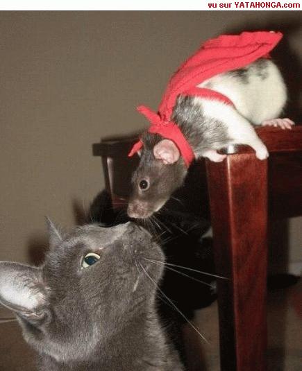 un ptit clin d'oeil � ma belphy ..........merci pour ton message bisousssssssssssssssss