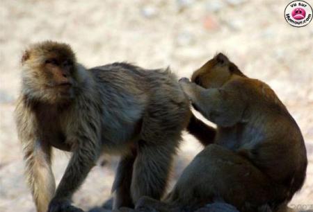 heuuuuuuuu koi d'neuf docteur