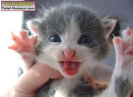 bouhhhhhhhhhh je vous ai fait peur hunnnnnnnn