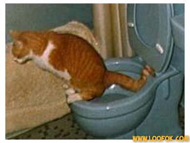 oui je suis bien �lev� mais bon c pas la peine de me regarder !!!!!!!!!!!!!!!