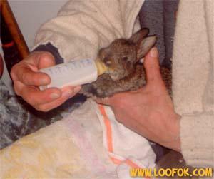 un ptit clin d'oeil � d�siflo bisoussssss toi