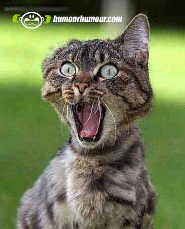 wahouuuuuuuuuuuuuuuuu regardez ce qui suit