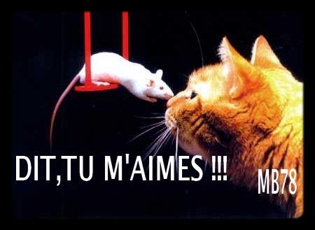chat pris une photo d'oc�ane ma ch�rie et de sa souris 