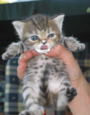 houuuuuuu ben ch'�tait bon le lolo