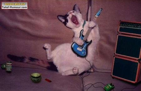 g�nial oc�ane le mex � la guitare hunnnnnnn