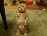 et moi je suis pas mimi??????????