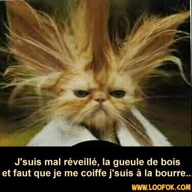 ma belphy au r�veil !!!!!!!!!!!