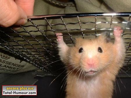 tia vu ma fleurette je fais de la muscu