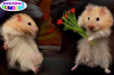 hummmmmm allez pour ma tatie belphy bisoussssssssss