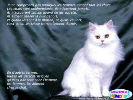 rien de plus vrai !!!!!!!!!!!!!!!!!!!!