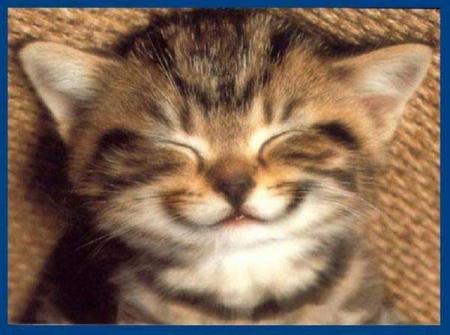 un ptit sourire pour ma tata belphy