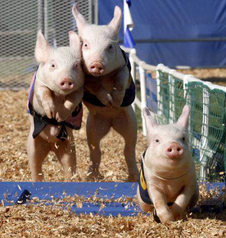 elles ont fais les 400 coups ensemble