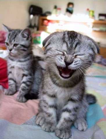 allez on va se fendre la gueule hunnnn !!!!! voici mes copines