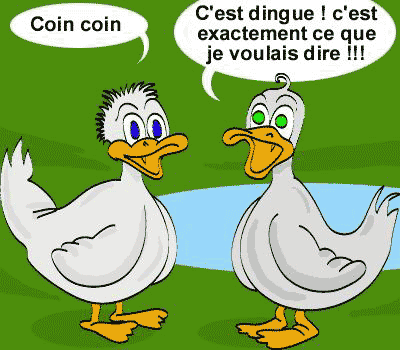 elles arretent pas de parler toutes les deux