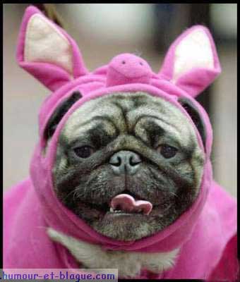 audrey avec la rage de dents