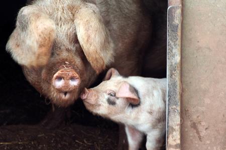 elles se connaissent depuis un certain temps l'une est plus ag�e que l'autre vous l'avez remarqu� !!!