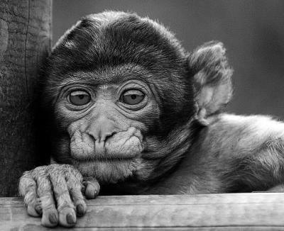 bon ben voila la suite du feuilleton 