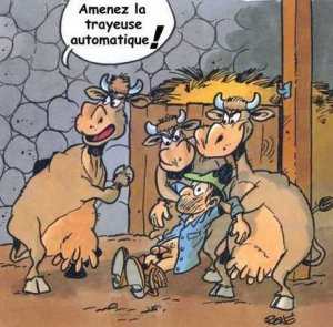 pour vous faire sourire derriere votre bureau b isoussss