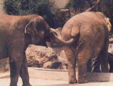 je regarde par le trou ce la serrure et je vois pas le facteur en pleine exploration