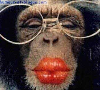 notre miss belphy s'est fait une beaut� pour attendre le facteur