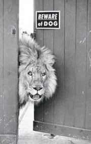 belphy qui ouvre la porte de l'�tude o� elle travaille