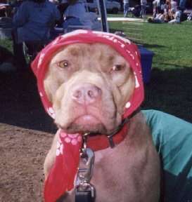 ptain �a fait mal les dents