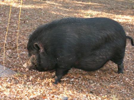 voila claude le mari � audrey