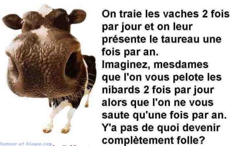 haaaaa c �a la vache folle
