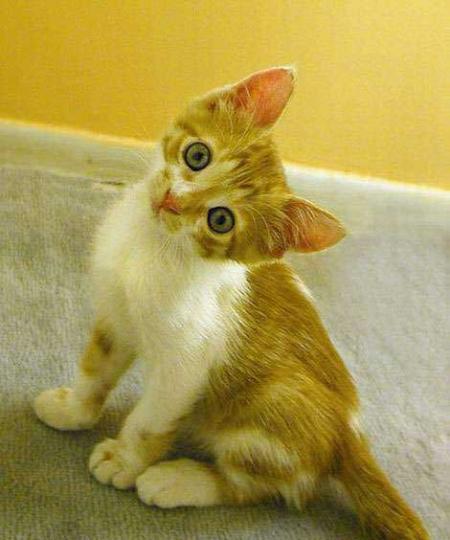 moi ze vous souhaite un bonne semaine