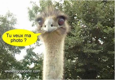 attation elle rigole po elle