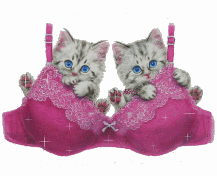 hum hum on est bien ici