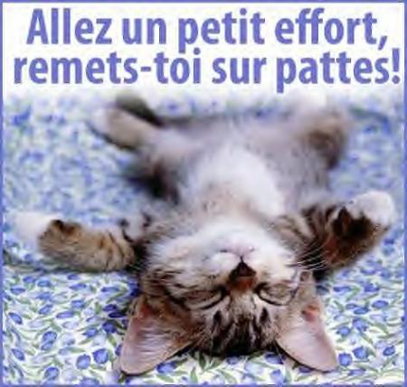 ALLEZ HOP HOP HOP DEBOUT ON ENTAME LA SEMAINE  BISOUS A TOUS