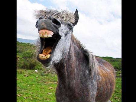 mais non ma papatte je ne t'ai pas oubli�e