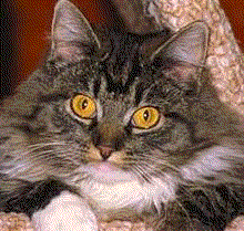 pour mon oc�ane d'amour